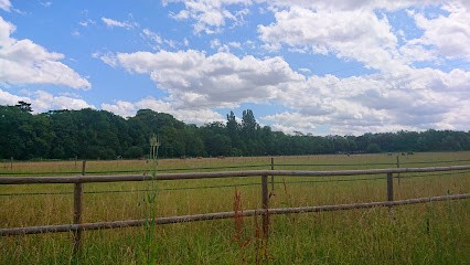 L'Écurie Du Pavillon D'Étiolles, Centre Equestres à Étiolles