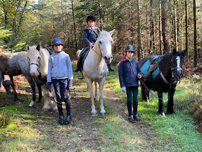 Les Crinières D'ecouves, Centre Équestre à Écouves