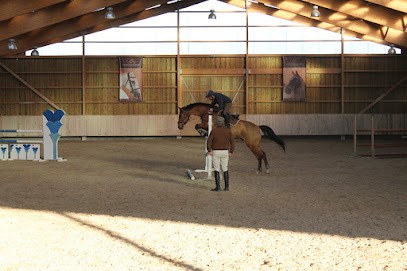 Stables Des Dalennes, Centre Equestres à Saint-Rémy-de-Provence