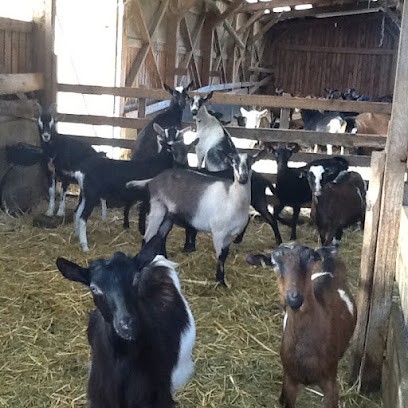 Gauthier Gérard, Centre Equestres à Monsols