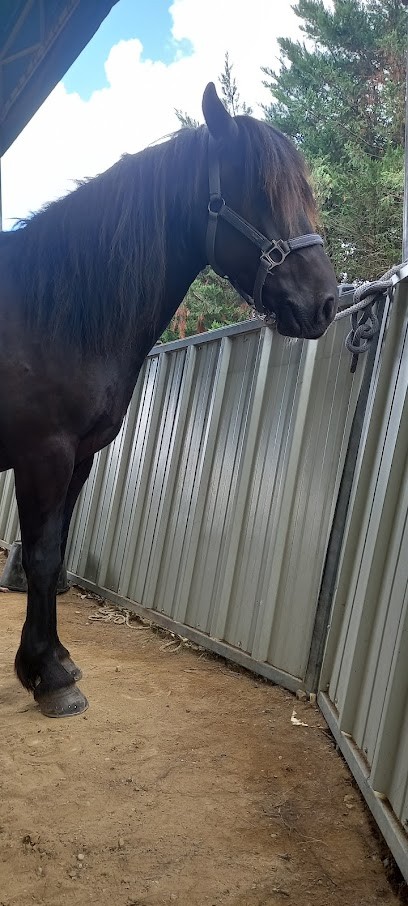Equestrian Center De Chalain, Centre Equestres à Doucier