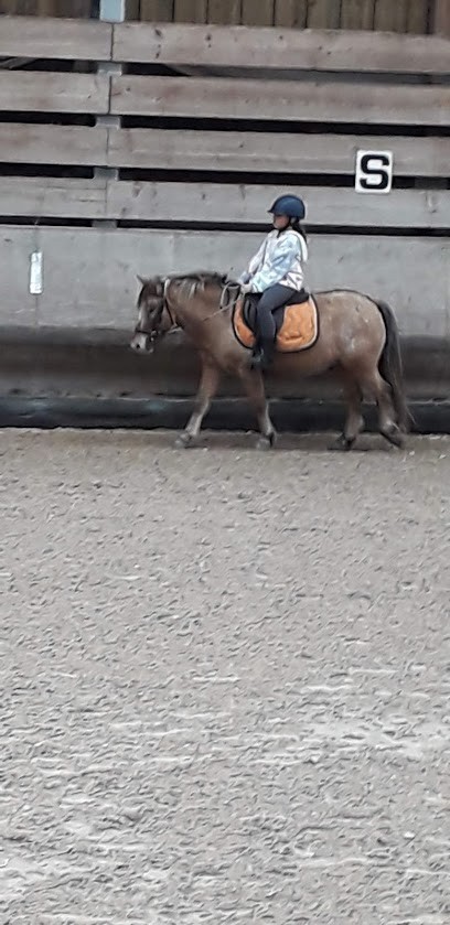 Stables Jump Des Vosges, Centre Equestres à Cheniménil
