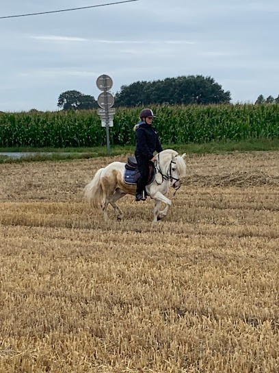 Small Ponies De Zermezeele, Centre Equestres à Zermezeele