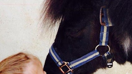 Ecurie D'arlequin, Centre Equestres à Saint-Chély-d'Apcher