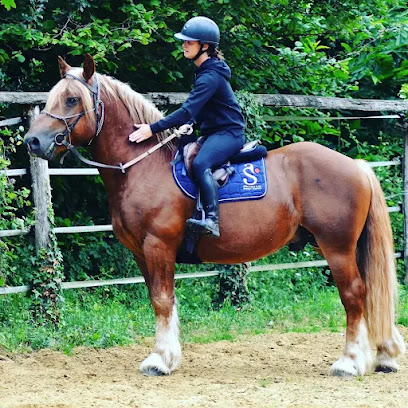 Boubet Chloé Education & Débourrage Pension Pour Chevaux à Saint-Adjutory