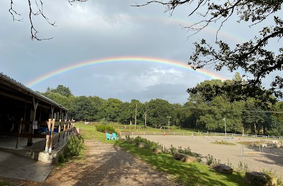 Les Ecuries Du Petit Bois, Centre Equestres à Plaintel