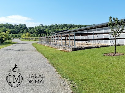 Haras de Mai - Ecurie de propriétaires & Ecole d'Equitation, Pension pour Chevaux à Nérigean