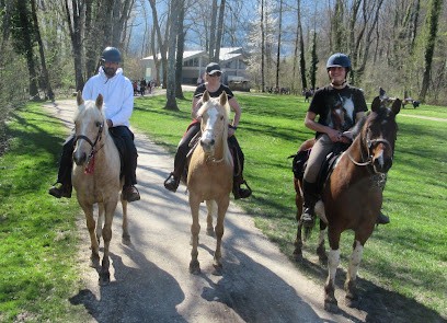 Les chevaux de la diamanterie, Centre Equestres à Serraval
