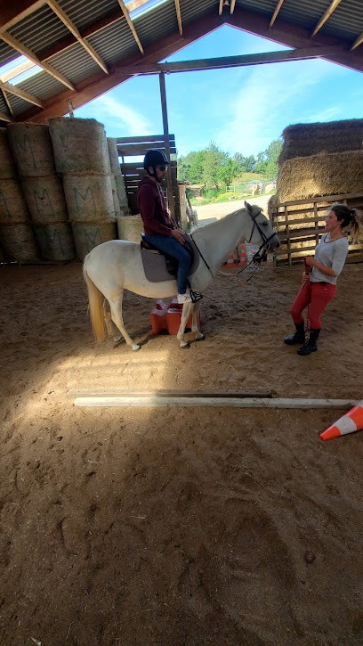 Laguiole Riding, Centre Equestres à Montpeyroux