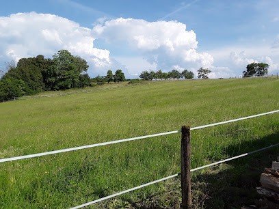 ÉLEVAGE DU LIEMONT, Pension pour Chevaux à Melincourt