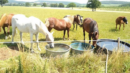 Pension pour chevaux à Péronne 71260 Champagne à cheval, Pension pour Chevaux à Péronne