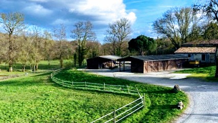 Les écuries De La Sauve - Julie FERRE - LAPORTE Et Romain FERRE, Pension pour Chevaux à La Sauve