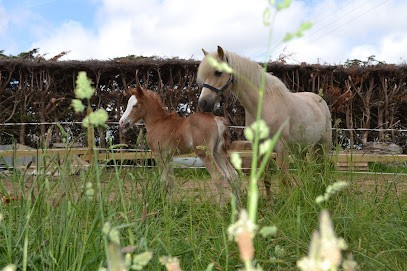 Equestrian Center De Plouider, Centre Equestres à Plouider
