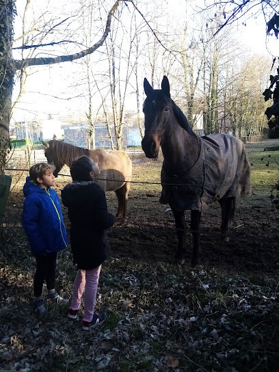 Les Ecuries Du Forezan, Centre Equestres à Cognin