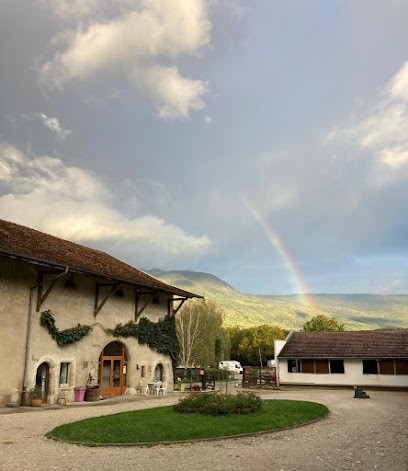Les Ecuries De Vulbens, Pension pour Chevaux à Vulbens