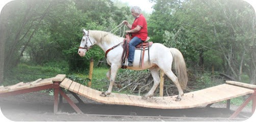 Horse Park, Centre Equestres à Vitrac
