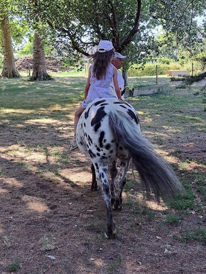 ferme pédagogique cheval nature, Centre Equestres à Saint-Macaire-du-Bois
