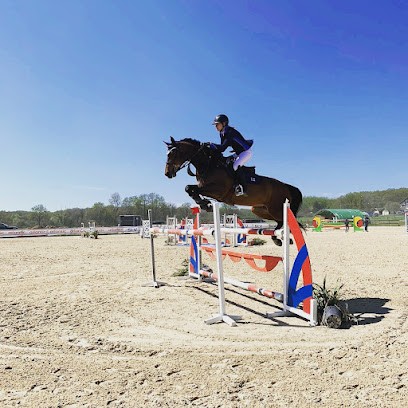Les écuries De Marenoire, Pension pour Chevaux à Simard