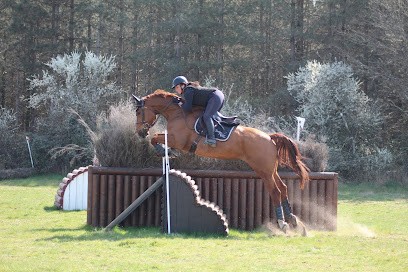 Ecuries de Saint-Maurice, Centre Equestres à Sennely