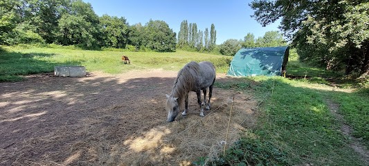 Pony Club Poney-Nature, Centre Equestres à Darnétal