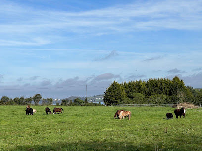 Les Terres De Naturel, Pension Pour Chevaux à Rosnoën
