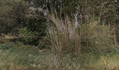 Le Galopin, Centre Equestres à Mollégès