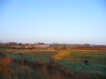 Les Ecuries D'artuzac, Centre Equestres à Euzet