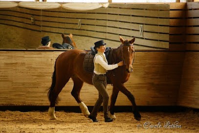 Ecurie Al-Fort, Pension pour Chevaux à Trébons-sur-la-Grasse