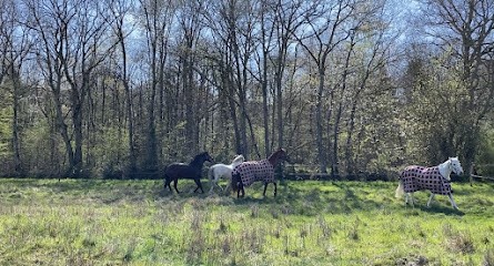 Fleuretchevaux, Pension pour Chevaux à Autry-le-Châtel