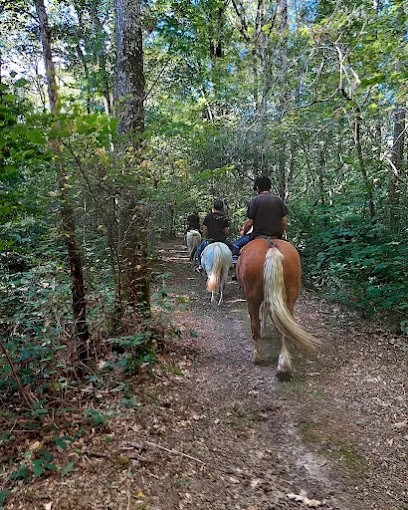 Les Cr'ain Bressans, Centre Equestres à Saint-Martin-le-Châtel