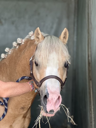 HARAS DE BOIS SOLEIL, Centre Equestres à Méounes-lès-Montrieux