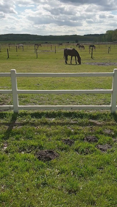 The Stables Of Mortefontaine, Centre Equestres à Mortefontaine