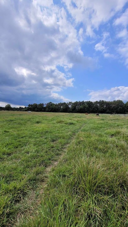 Les Écuries C&B, Pension pour Chevaux à Lorris