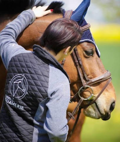Ecuries De La Bouamerie & Ecurie Sophie Dechoux, Centre Equestres à Pontlevoy