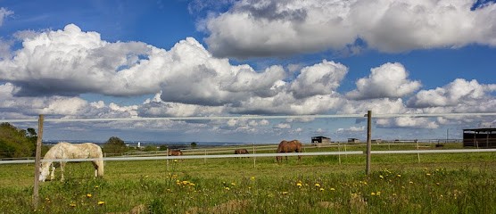 Ecurie de Souleris, Pension pour Chevaux à Saiguède