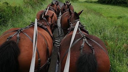 Les écuries De La Suisse Normande, Centre Equestres à Condé-en-Normandie