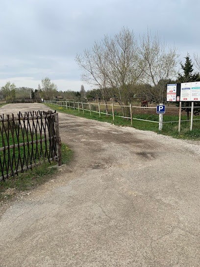 EQUITATION SAINT ANTHELME, Centre Equestres à Pujaut