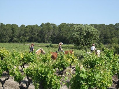 Vidourle à Cheval, Centre Equestres à Combas