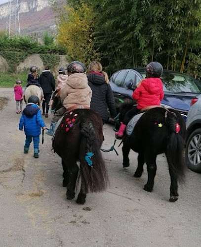 La Petite Cavale D'erika, Centre Equestres à Voreppe