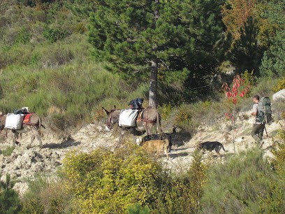 Kabulanolak - Balades En âne à Crussol Et Alentours, Centre Equestres à Saint-Péray