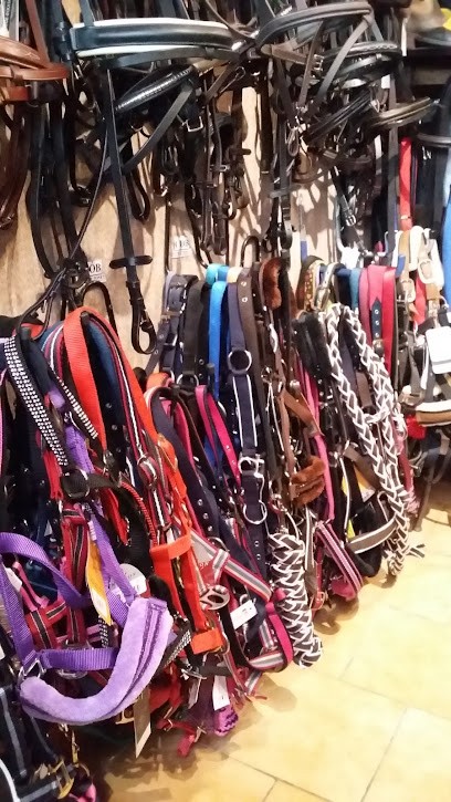Equiland, Magasin de Matériel d'Equitation à Déols