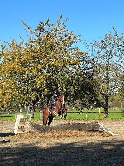 écurie De La Lyberté, Pension pour Chevaux à Sartilly-Baie-Bocage