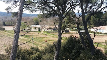 Ecuries De La Loubière, Pension pour Chevaux à Pertuis