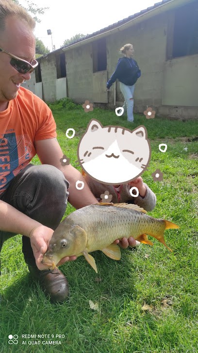 LES ECURIES DU KASTELPAARD, Centre Equestres à West-Cappel