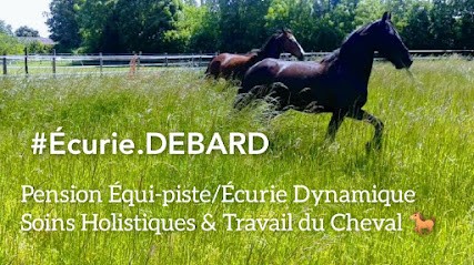 Écurie DEBARD, Pension pour Chevaux à Brûlain