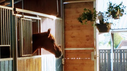 Ecuries Haras de Miranola, Pension pour Chevaux à Landaville