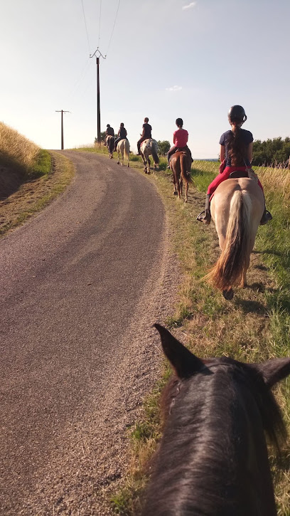 Centre Equestre Tequi-Passion, Centre Équestre à Castelmoron-sur-Lot