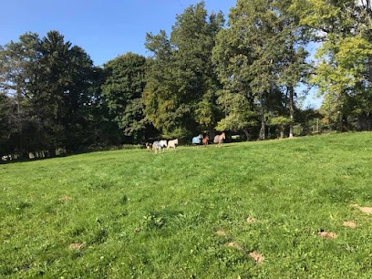 Elevage d'Alhéna, Centre Equestres à Aviernoz