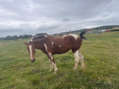 FERME EQUESTRE DE LA ROSE DES VENTS, Centre Equestres à Saint-Jans-Cappel