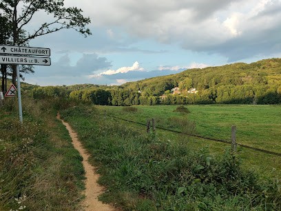Le Moulin Neuf, Pension pour Chevaux à Villiers-le-Bâcle